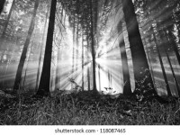 Get High on Nirvana: A Guided Tour of Meditation&nbsp;Techniques