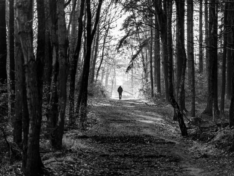 A Path Without a Goal: There’s More to Life Than Getting What You&nbsp;Want