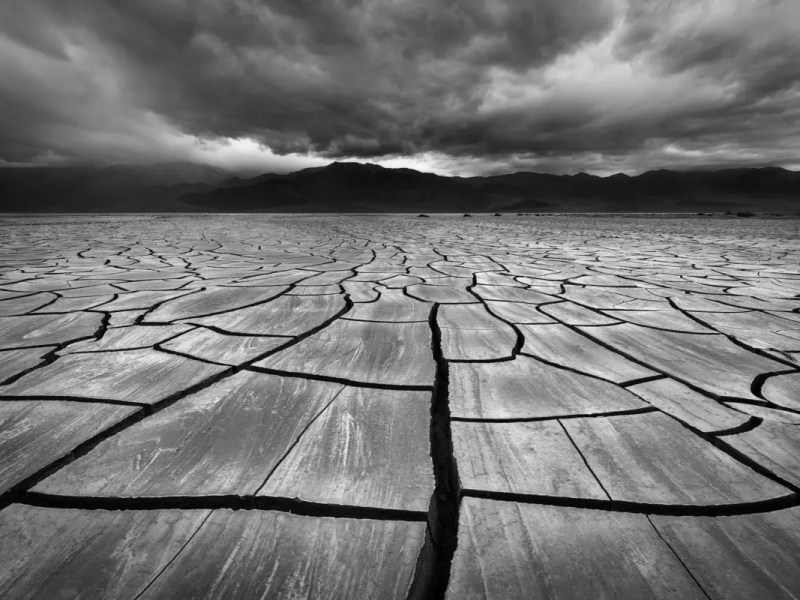 What Dreams May Come: The Rise of&nbsp;Eco-Anxiety